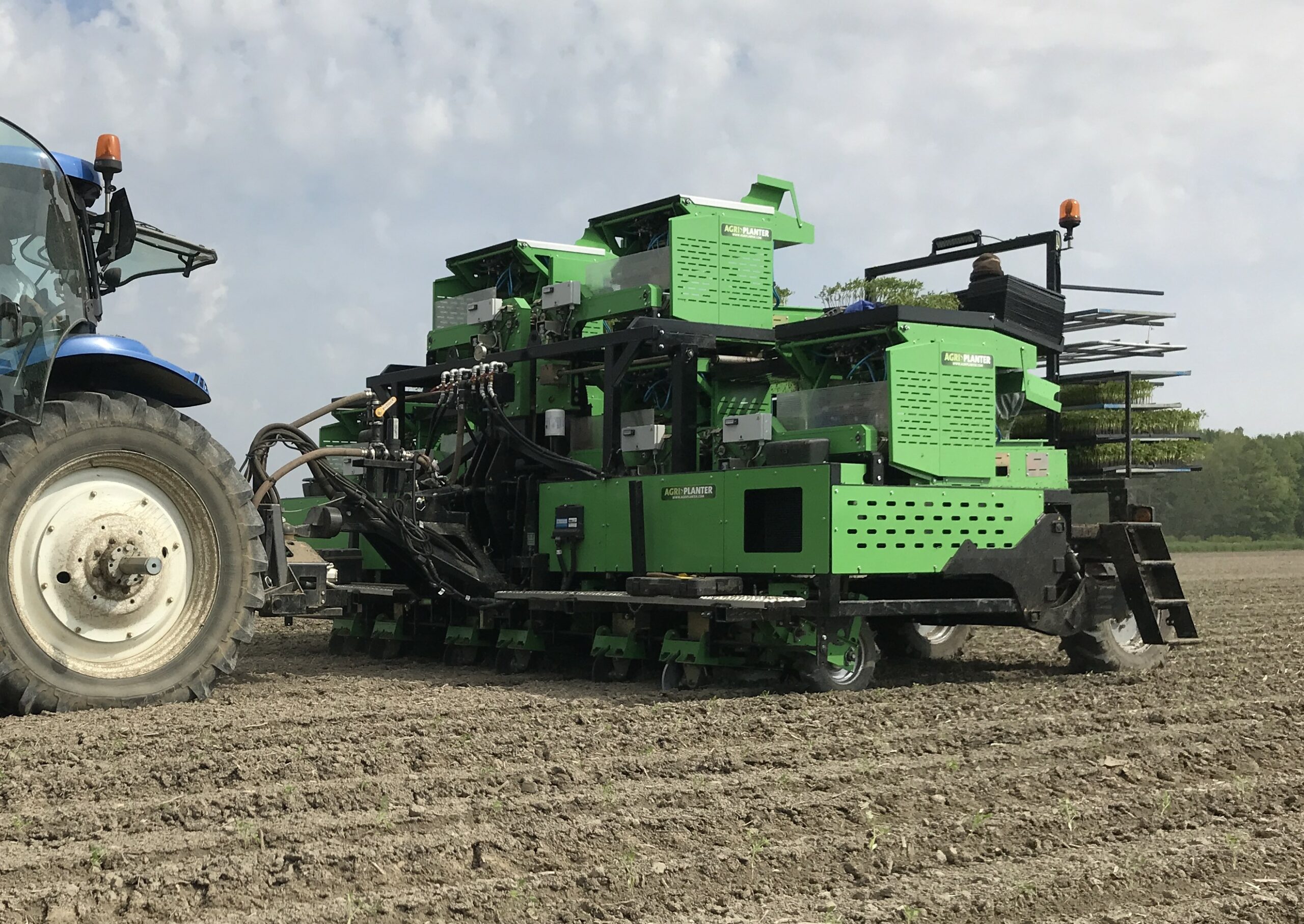Plug planter reduces tomato labour, covers more acres Agriplanter